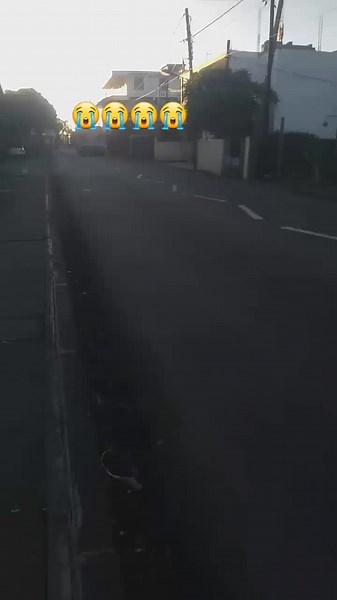 Avishay (@avishay024)’s videos with Sad Music - Max-Music