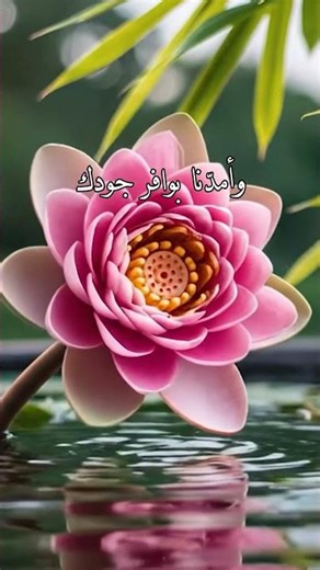 وفي صباح يوم الجمعه