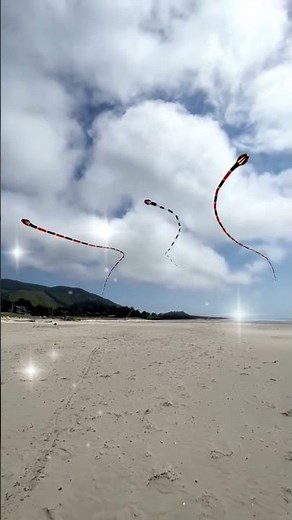 longest tail snake 🐍 kite | saranggola | layang-layang ular ekor terpanjang