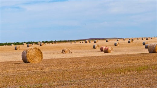 China wants US farmland to ‘spy’ on military bases: Lincoln Network senior fellow