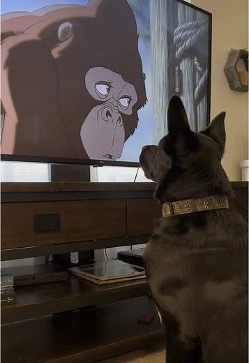Disney Movies Perfect for Dog Lovers