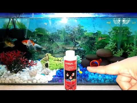 MicroLife S2 - Cycles New Tank In 5 Days!