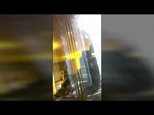 Huge Berlin aquarium bursts, releases flood of fish