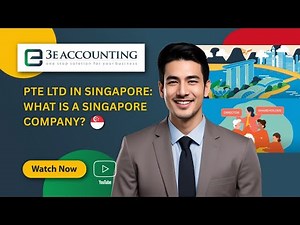 Pte Ltd in Singapore What is a Singapore Company?