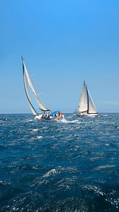 Your best vacation moment? It’s just one tour away. Plan your experience today and save 30%. | Cabo Adventures