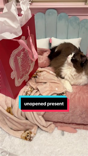 Unopened Christmas Gift Surprise