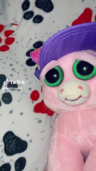 A bunch of lovable goofballs! 🤣🥰#feistypets #snl #clinkclinkclink #dripwatersplash #caping