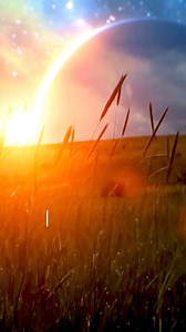 Regulatory Function of Vata Dosha Vata dosha is the master dosha,...