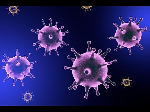 Evolution Part 4 of 7 Evolutionary Arms Race PBS DocumentaryHD 720p