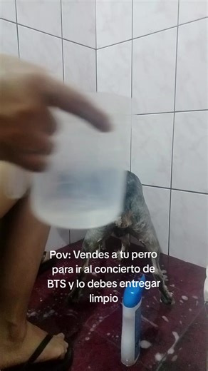 La emoción de BTS en Perú: ¡Un concierto inolvidable!