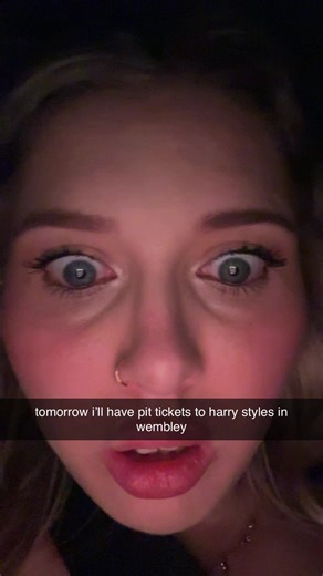 we survived the great war but at what cost. harry styles i have some very choice words for you mr fruit kebab #togethertogether #harrystyles #wembleyn4 #harrystylesconcert @Jas @HSHQ