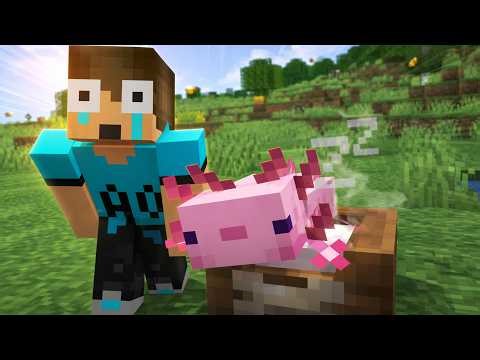 The best PET MOD for MINECRAFT