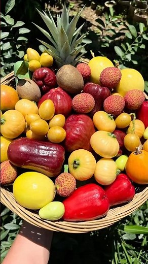 Abundant Fruit Harvest: Picking Fresh Tropical and Orchard Fruits