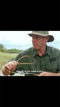 part-19 MAN-Eating Crocodile | Carter's WAR (The Animal club English) #wildlife