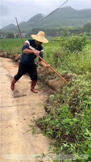 Traditional Hoe Weeding Technique