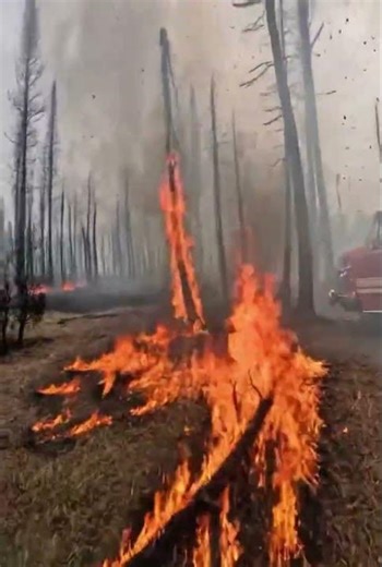 Inside a Wildfire: Firefighter POV (Helmet Cam Timelapse)!!!