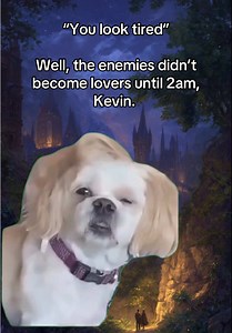 Booktok Meme: Enemies to Lovers at 2 AM