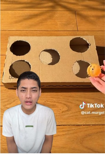 DIY Mainan Kucing: Kreativitas dengan Kardus