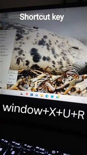pc restart #computer