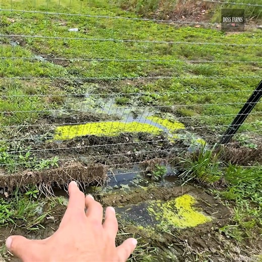 8.1K views · 792 reactions | There is a PROBLEM With This Leach Field #FarmLife #LeachField #Cattle #Farming | Doss Farms | Facebook