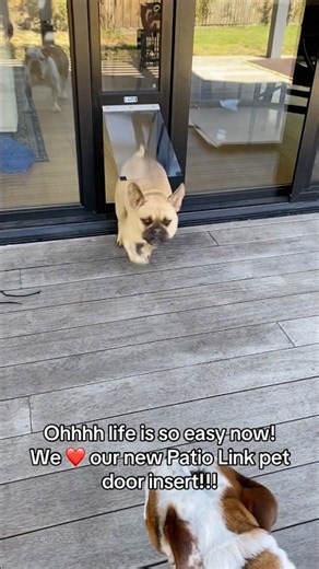 Large black PatioLink pet door insert #patiolink #dog #dogs #dogdoor #pets