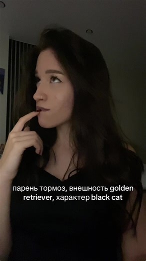 Характеристики золистого ретривера и черного кота