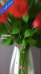 Ben Hamouda on Reels