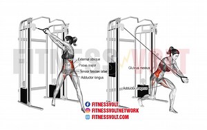 Tone Your Core: Master the Cable Wood Chop Exercise – Fitness Volt