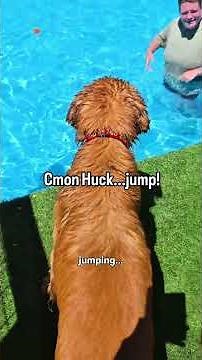 First time dock diving!
