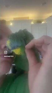 Adopted this Amazon that no one wanted because he was “aggressive and bites”.