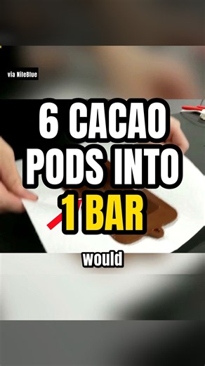 He Made a Chocolate Bar From 6 Raw Cacao Pods 😮🔥 | NileBlue