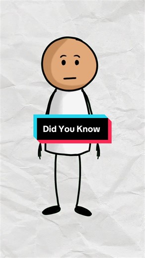 Discover Fascinating Facts in Animation