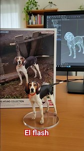 100'/. treeing Walker 🇺🇸👌