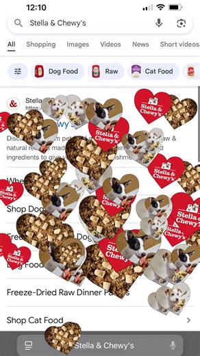 If you’ve Googled “Punch the monkey,” you know, so we made what should pop up when you Google Stella & Chewy’s. 🐾❤️
