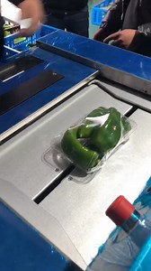 Green pepper plastic wrap packaging machine #PackagingMachine #LiquidPackager #PowderPackingMachine​ #GranulePackingMachine​ #FoodPackagingMachine​ #PharmaceuticalPackager​ #CosmeticPackagingMachine​ #PackagingMachine​ #Packager​ #PackagingEquipment | Henan Cyril Machinery Equipment Co.,LTD