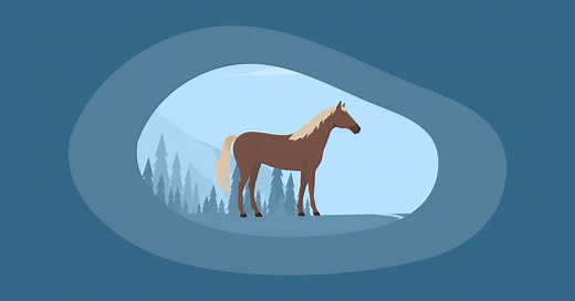 9 Best Charities That Help Horses (Complete 2026 List) | Impactful Ninja
