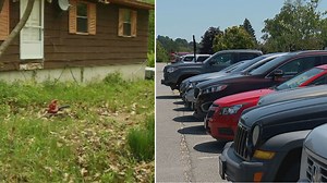 Car, construction-related problems top list of consumer complaints