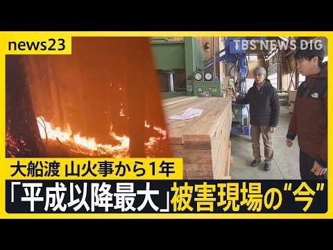 “平成以降最大”岩手・大船渡の山火事から1年 「ファイヤーロード」「水を使わない」アメリカに学ぶ山火事対策 「燃えた木はどうなる？」復興に向けた活用へ【news23】｜TBS NEWS DIG
