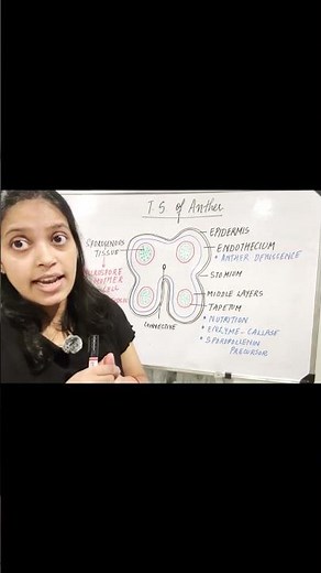 What’s Inside an Anther? 🤯 | All 4 Layers + Functions in 60 sec | NEET Biology
