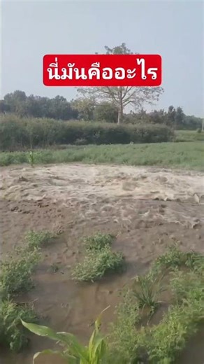 #Water is gushing out and flowing rapidly. #A huge spring of water is coming down from undergroun...