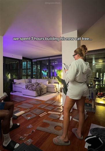 Building a Maine Coon Cat Tree: A Fun Adventure