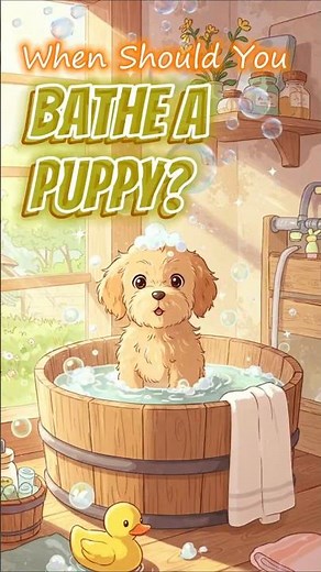 When Can You Bathe a Puppy? 🐶 Vet-Approved Tips ✔️ #puppy #animals #petcare