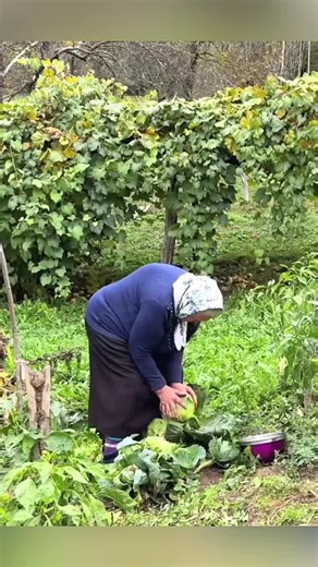 Exploring Village Life Through Authentic Cooking