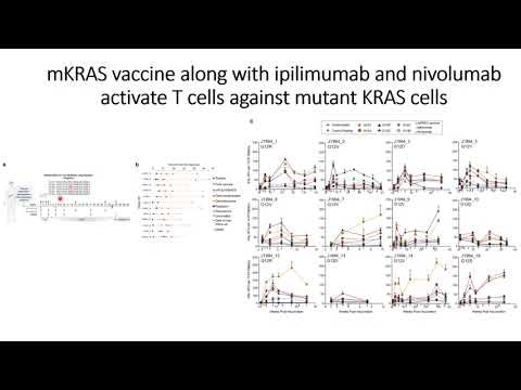 mKRAS vaccine with ipilimumab & nivolumab to activate Tcell specific to mutant KRAS cell #Code: 1112