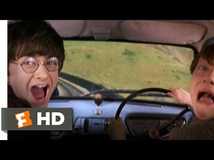 Harry Potter - Harry & Ron In The Flying Car