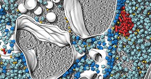 Molecular Clarity—Discovering What’s Possible with Cryo-Electron Tomography