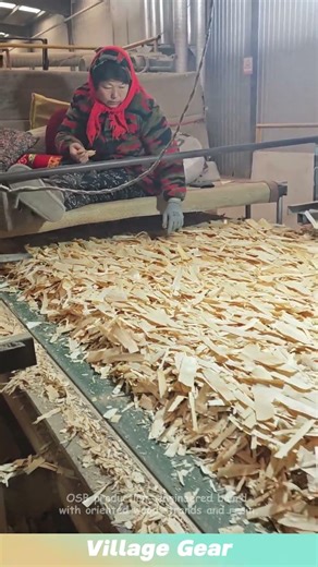 OSB production, engineered board with oriented wood strands and resin.