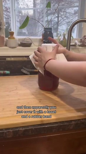 Making a kombucha scoby at home: a simple experiment