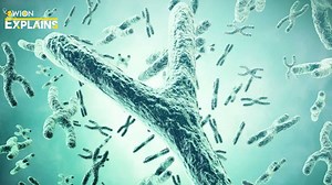 Explained | Scientists finally decipher enigmatic Y chromosome, feat to help study male infertility