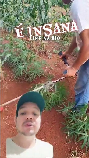 This Circular Hoe for Brush Cutters is INSANE! Clears Land in Minutes!